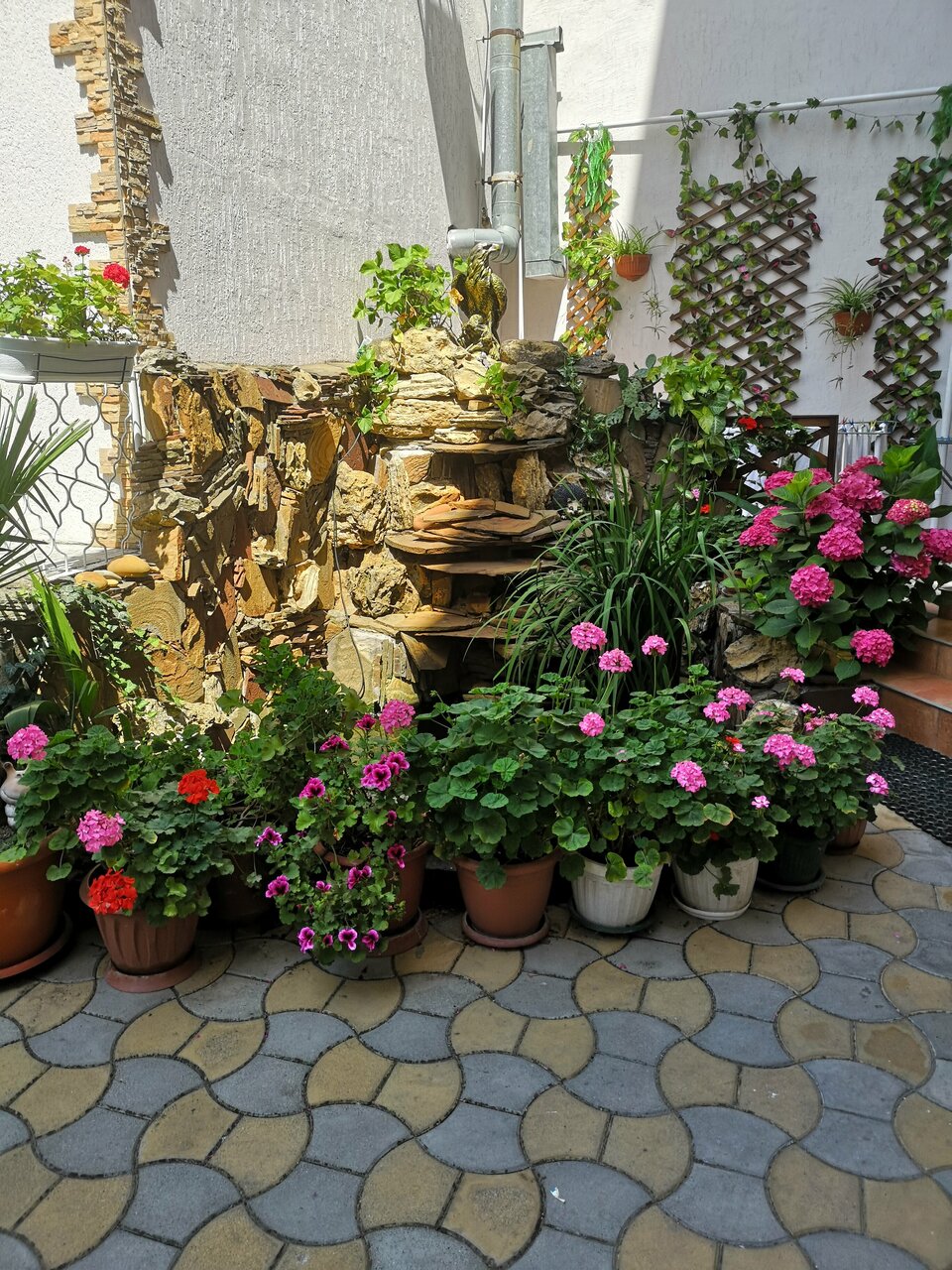 Гостиница Патио Анапа-141